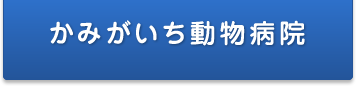 かみがいち動物病院