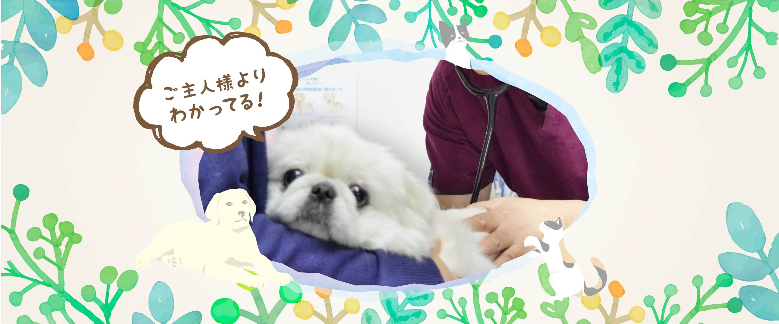 高井獣医科病院