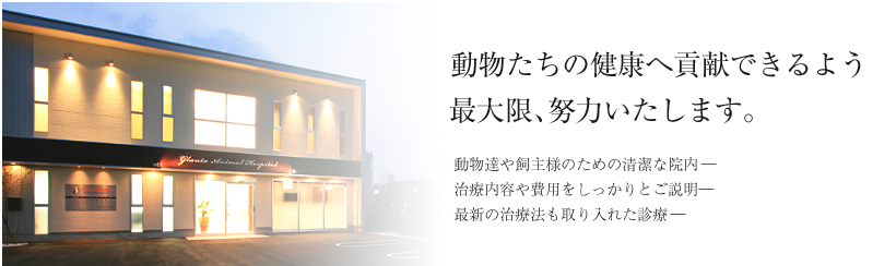 グレンタ動物病院