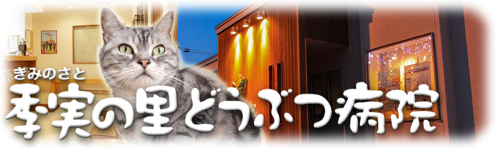 季実の里どうぶつ病院