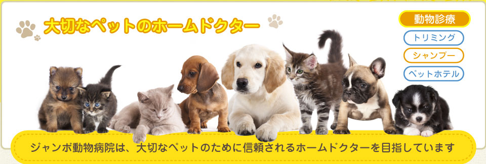 ジャンボ動物病院