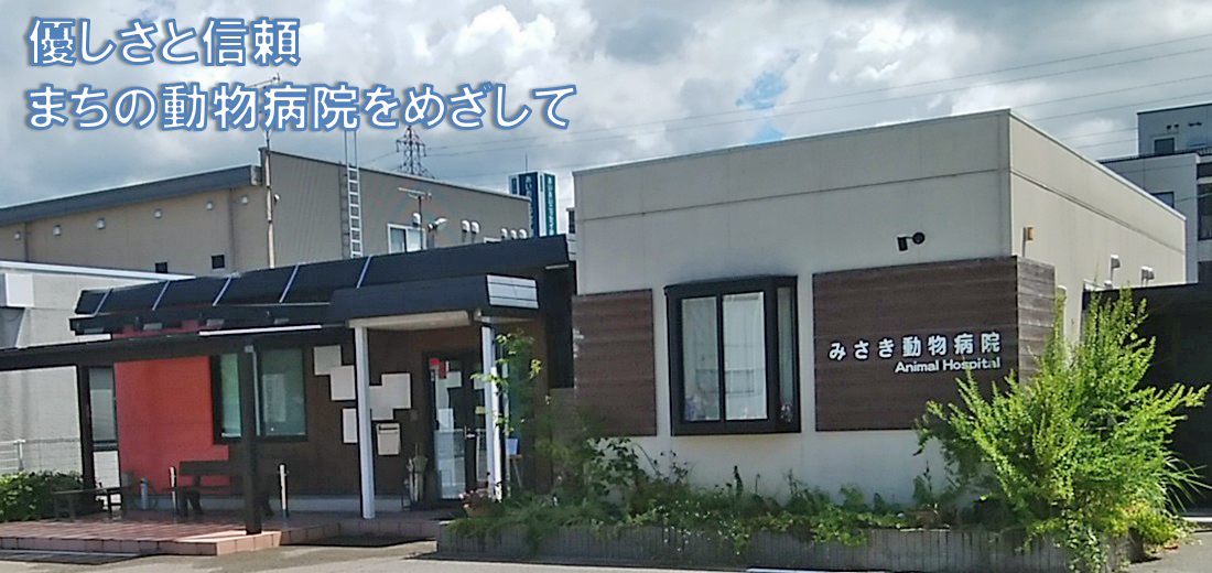 みさき動物病院