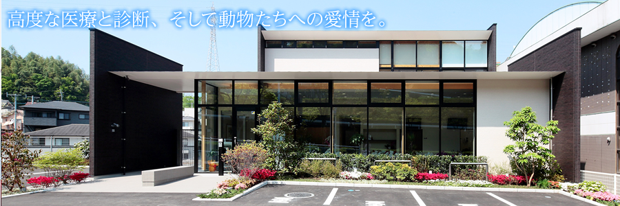大分動物医療センター