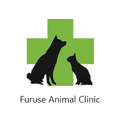 ふるせ動物病院