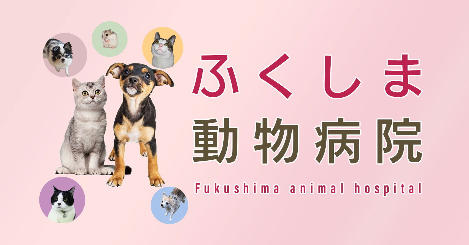 ふくしま動物病院