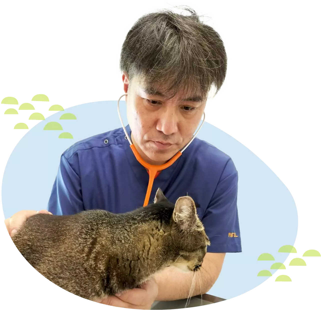 パステル動物病院