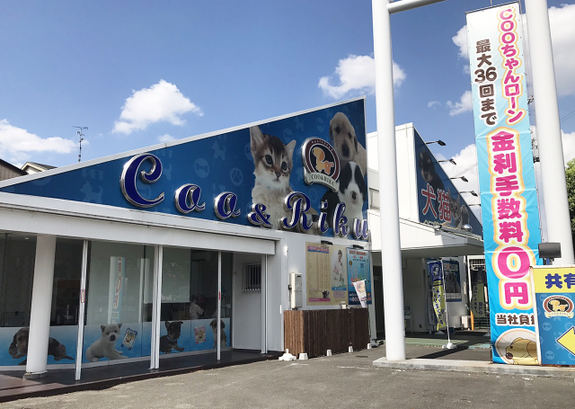 海動物病院　枚方往診所