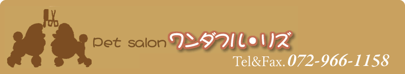 ワンダフル・リズ