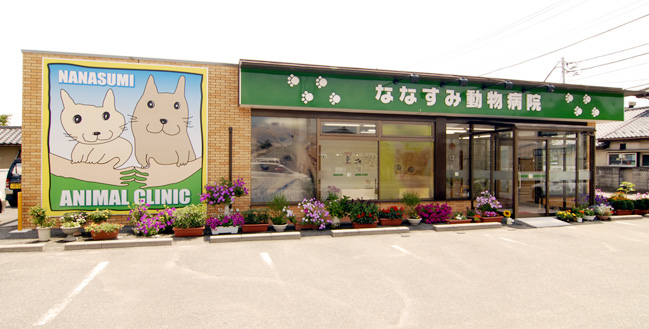 ななすみ動物病院