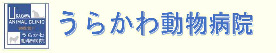 うらかわ動物病院