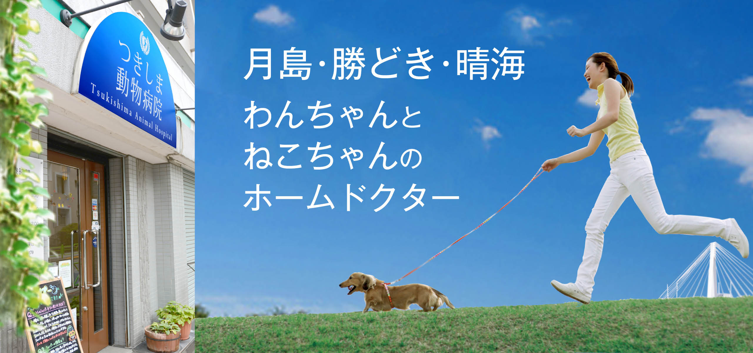 つきしま動物病院