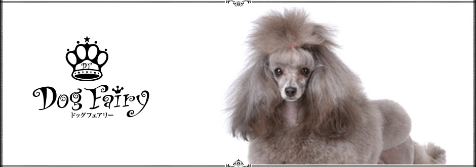 ドッグフェアリー