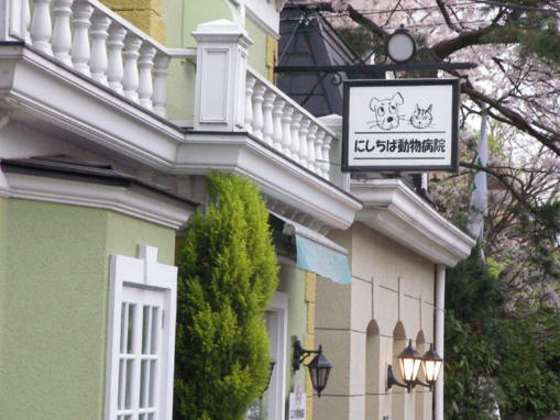 にしちば動物病院