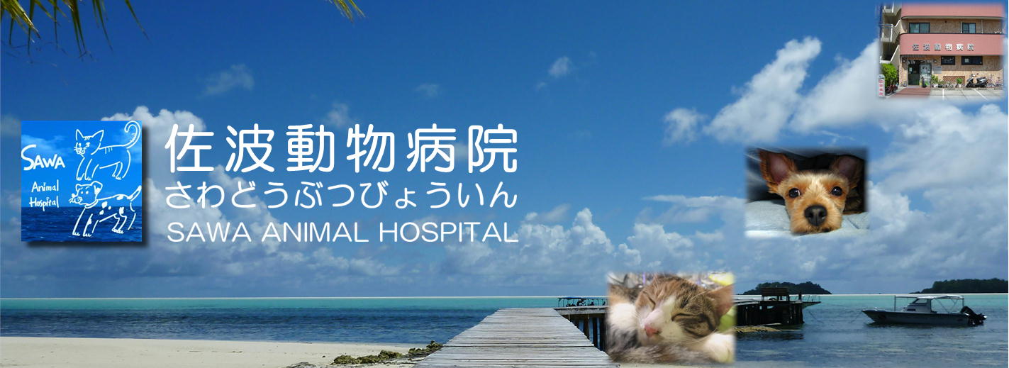 佐波動物病院