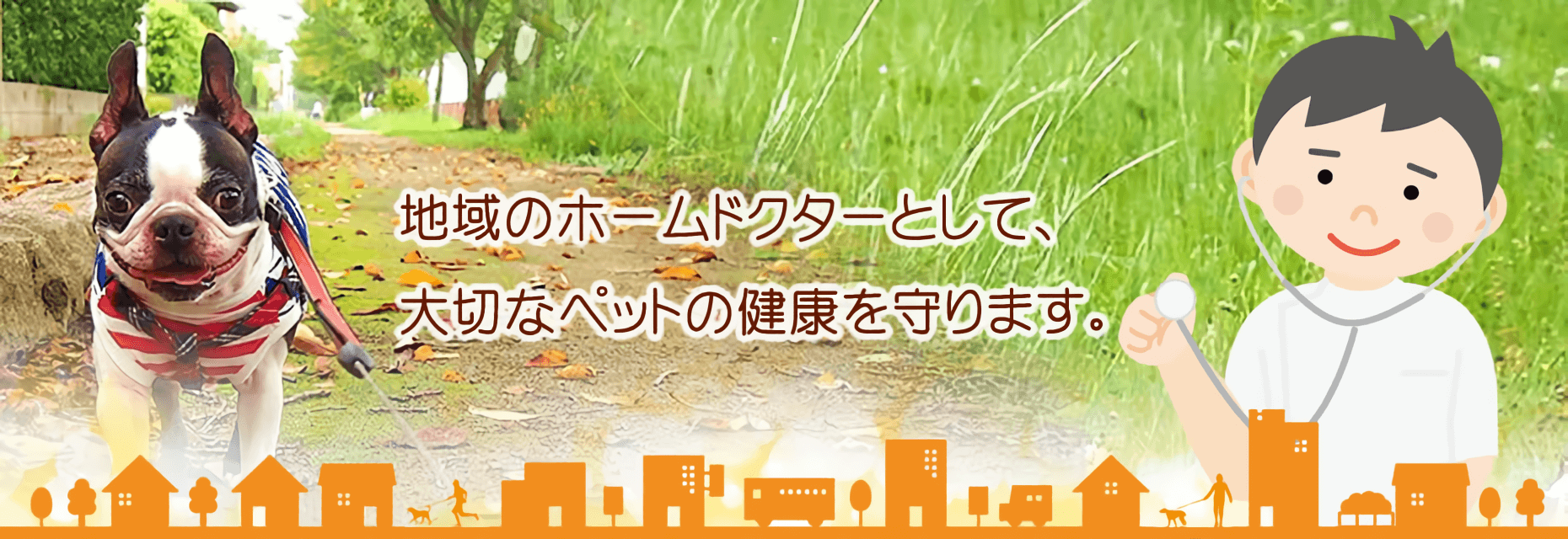 まつはま動物病院