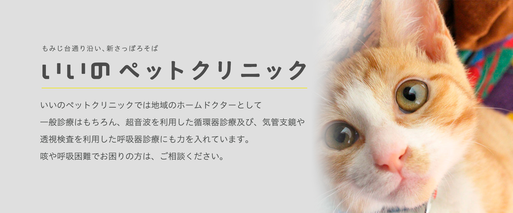 いいのペットクリニック