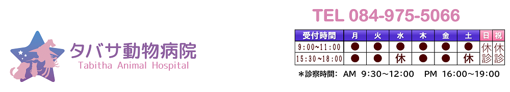 タバサ動物病院