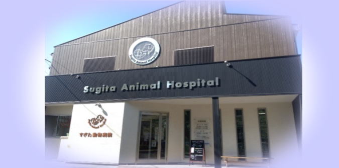 すぎた動物病院