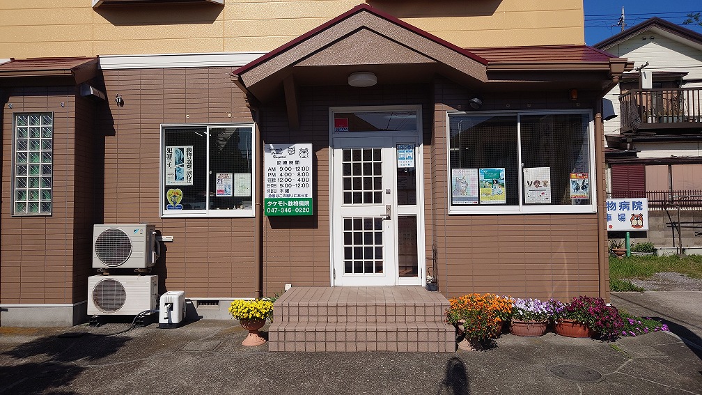 タケモト動物病院