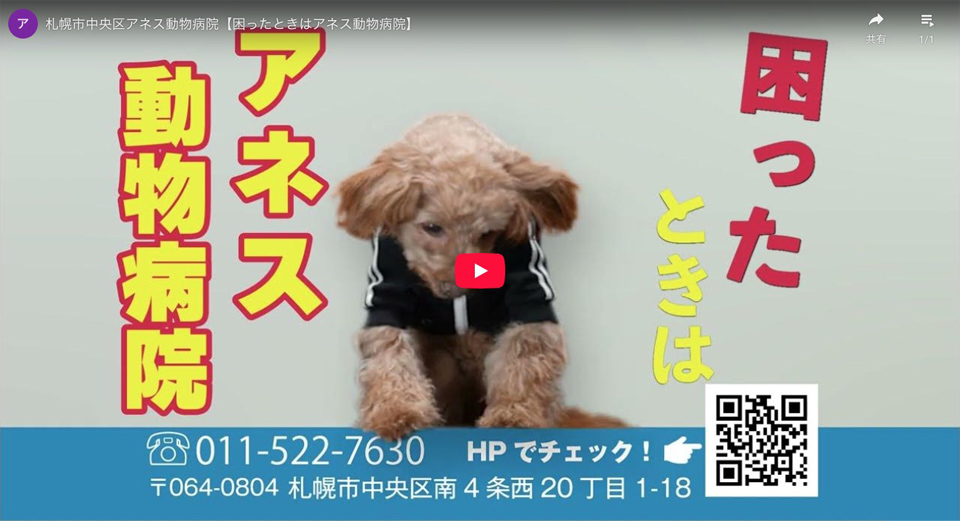 アネス動物病院　札幌円山動物麻酔センター