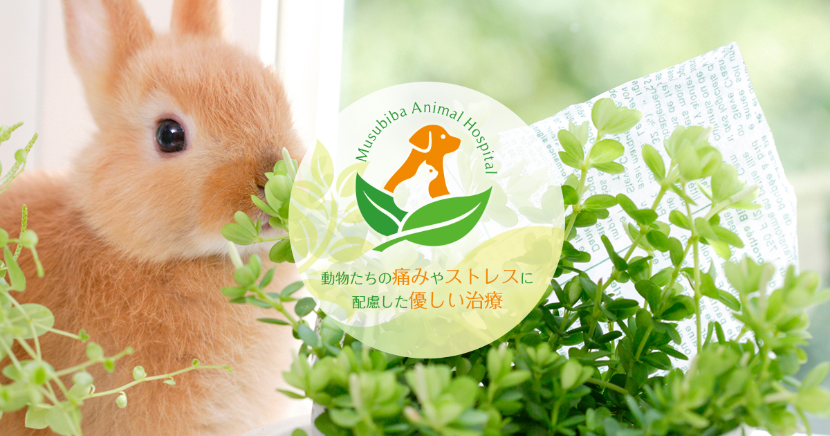 むすび葉動物病院