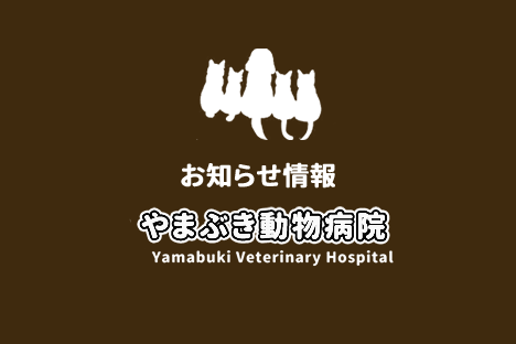 やまぶき動物病院