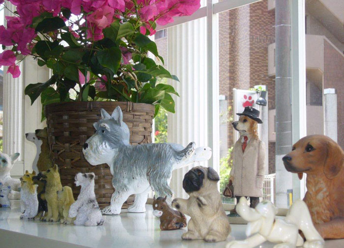 イズマ動物病院