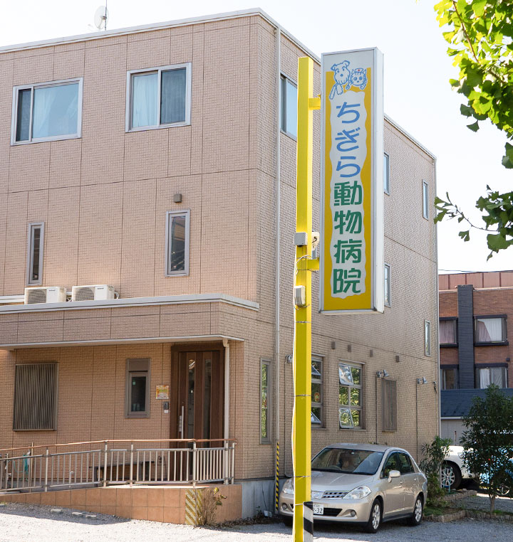ちぎら動物病院