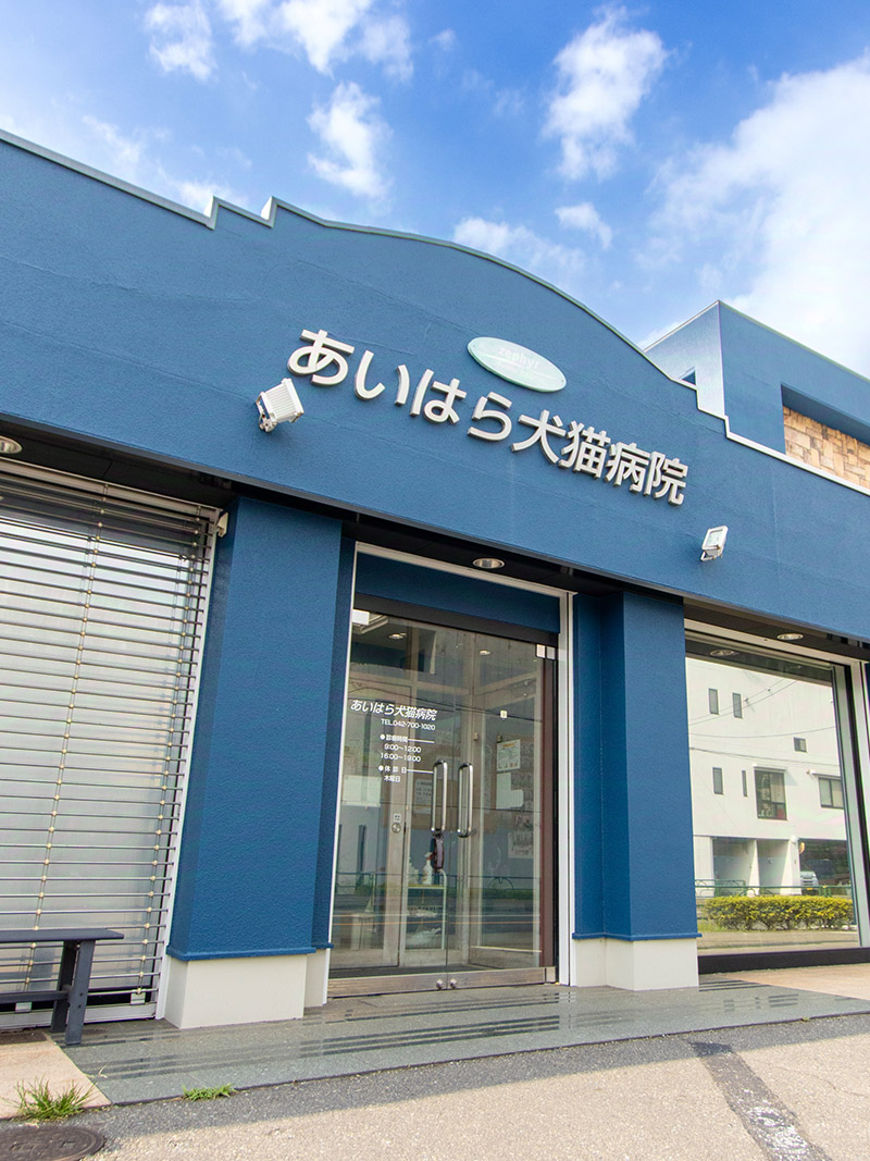 あいはら犬猫病院