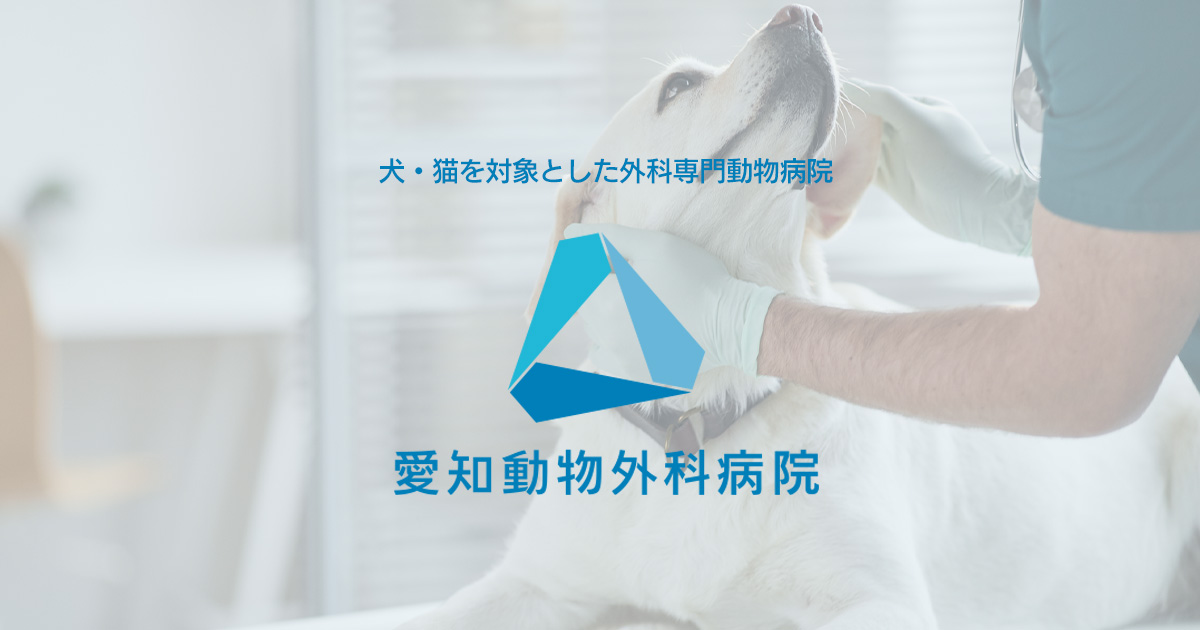 愛知動物外科病院