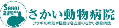 さかい動物病院