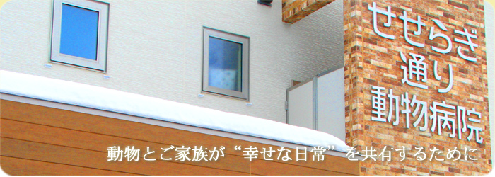 せせらぎ通り動物病院