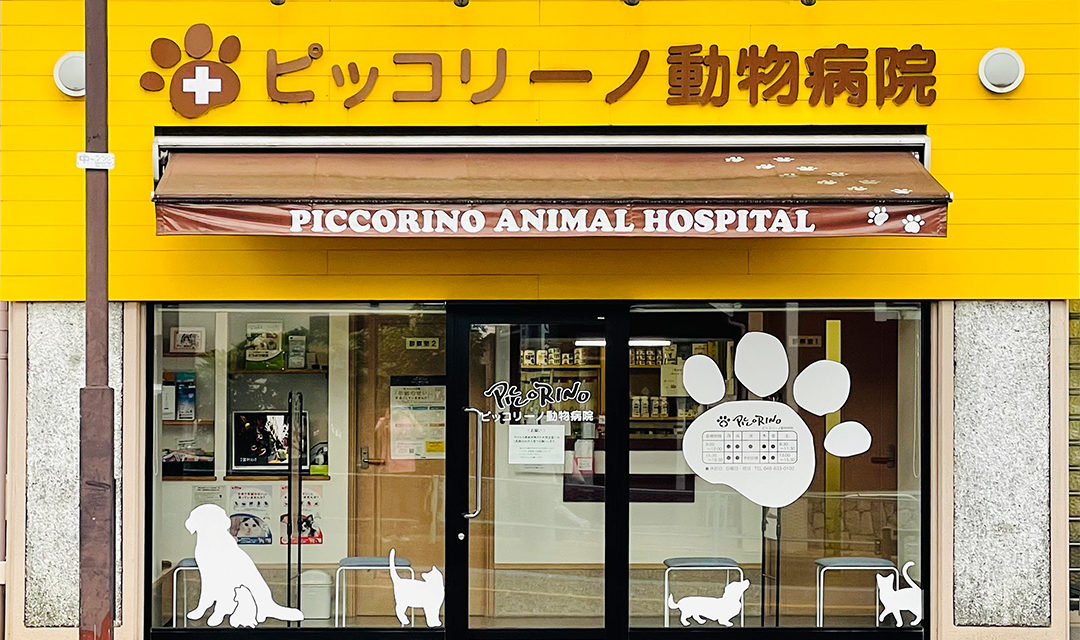 ピッコリーノ動物病院