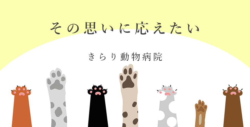 きらり動物病院