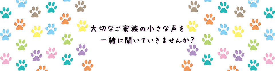 たちばな動物病院