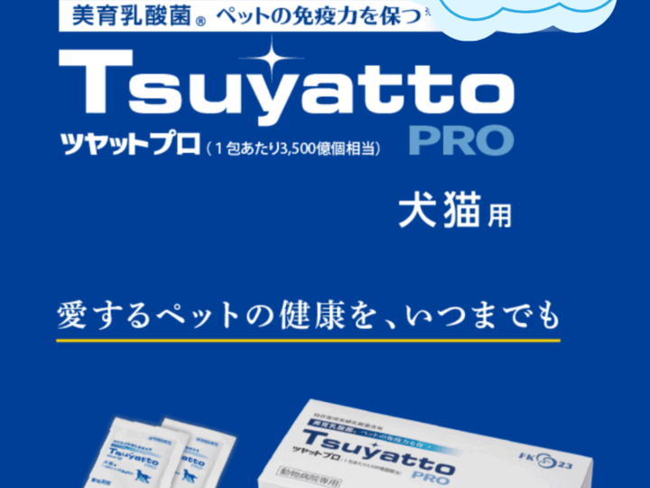 なないろ動物病院