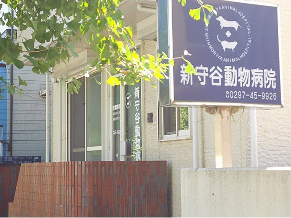 新守谷動物病院