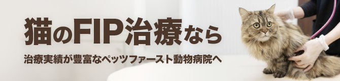 ペッツファースト動物病院 吉祥寺医院