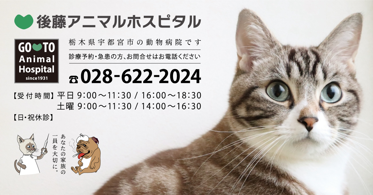 後藤アニマルホスピタル
