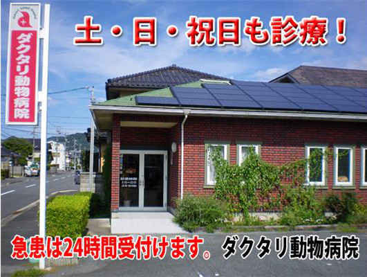 ダクタリ動物病院 鳥取病院
