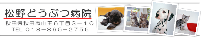 松野動物病院