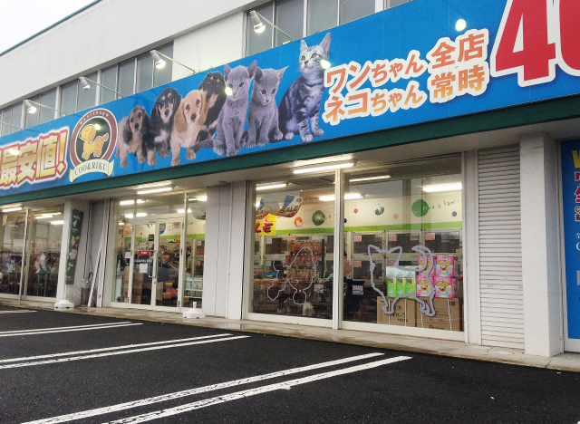 海動物病院　足利往診所