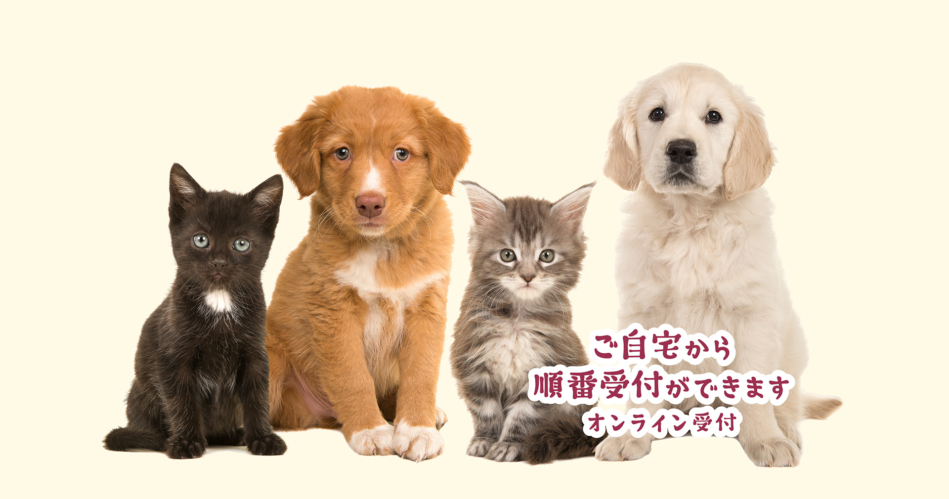 ウメツ動物病院