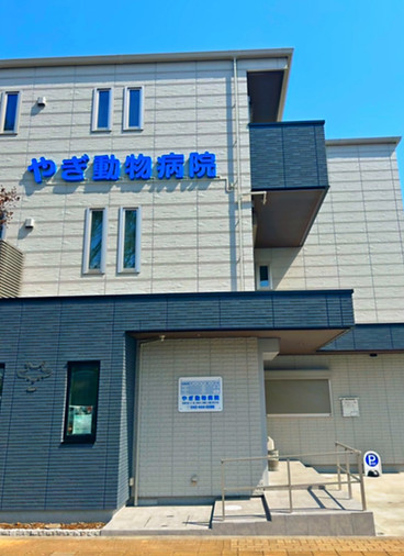 やぎ動物病院