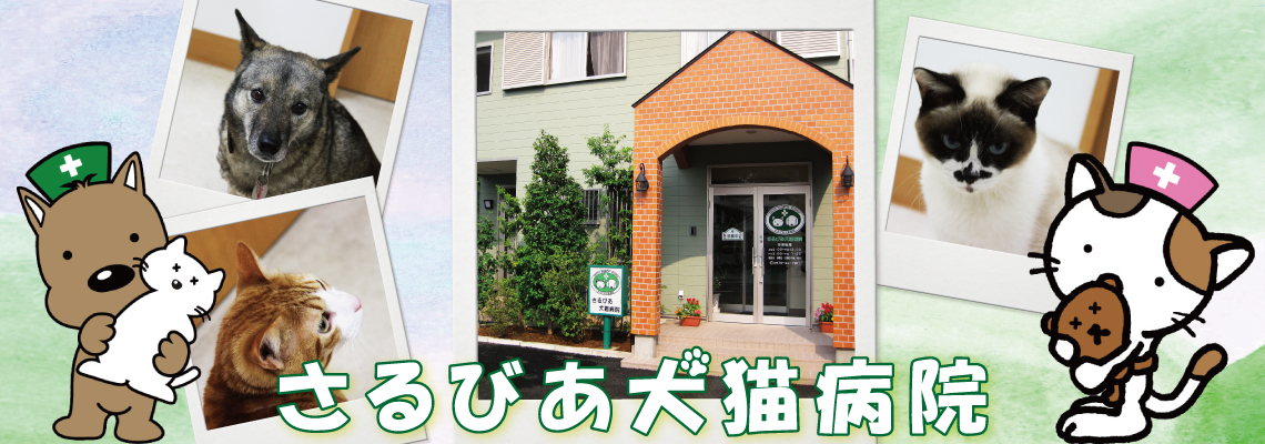 さるびあ犬猫病院