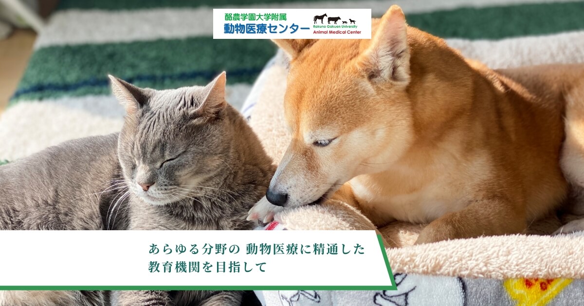 酪農学園大学附属動物医療センター