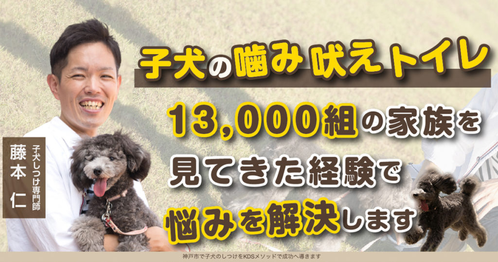 家族と子犬の学校c...