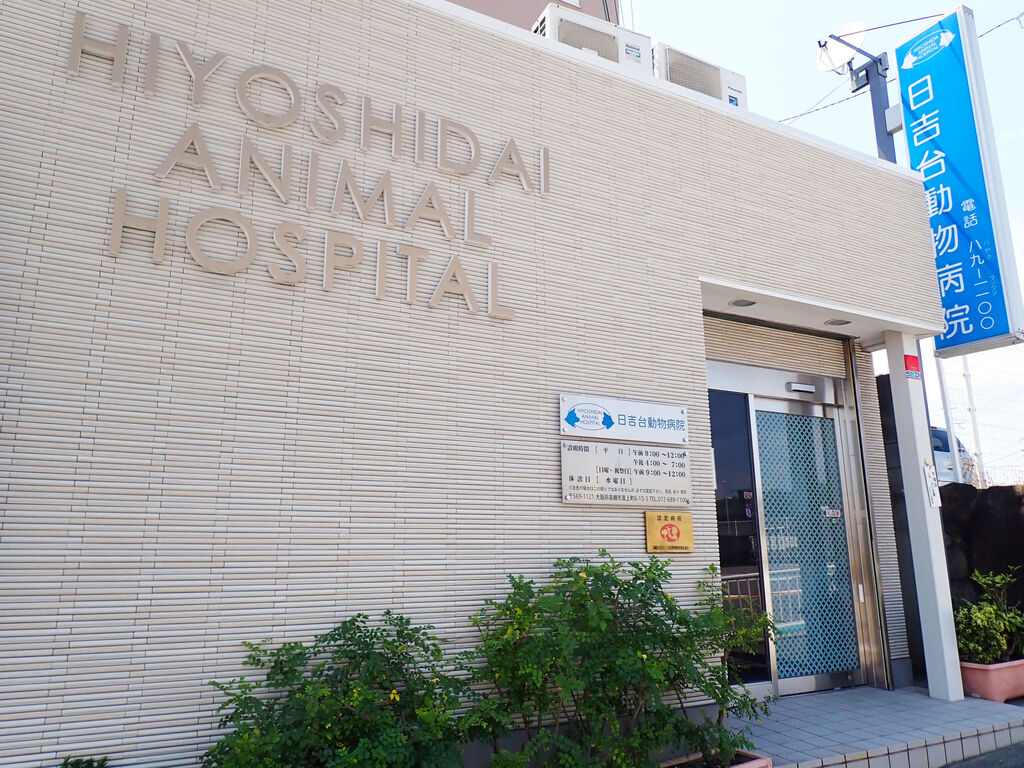 日吉台動物病院