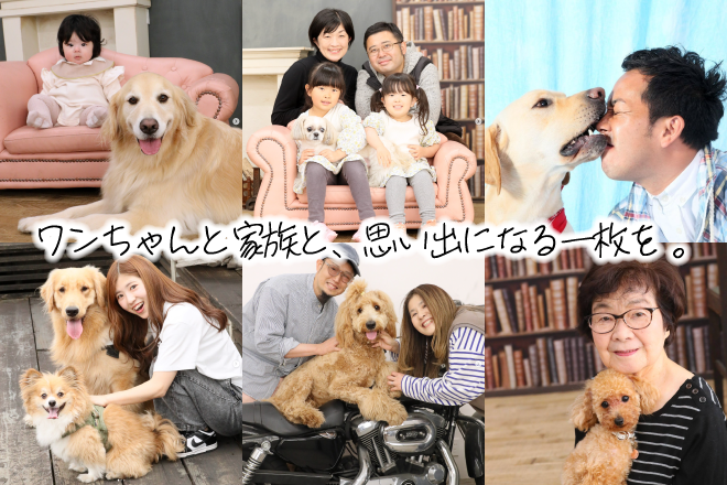 スタジオドッグラン