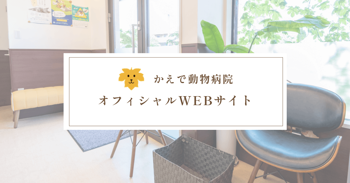 かえで動物病院